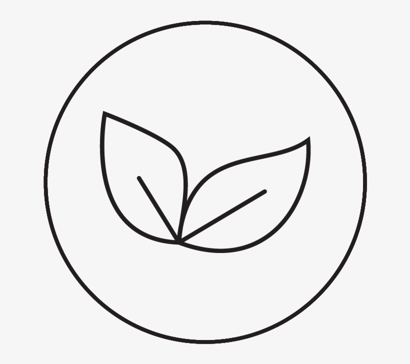 Herbal Balm - Line Art, transparent png download