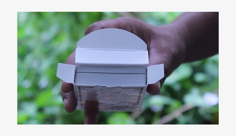 Grass, transparent png download