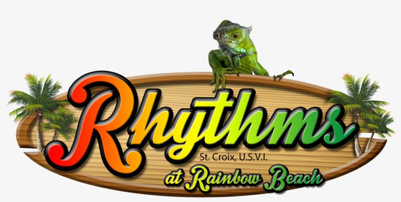 Common Chameleon, transparent png download