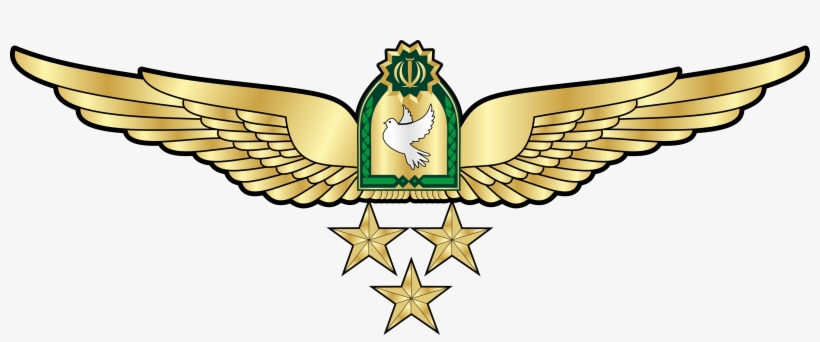 Naja-pilot Wing 1st Class - Pilot Wings Cartoons, transparent png download