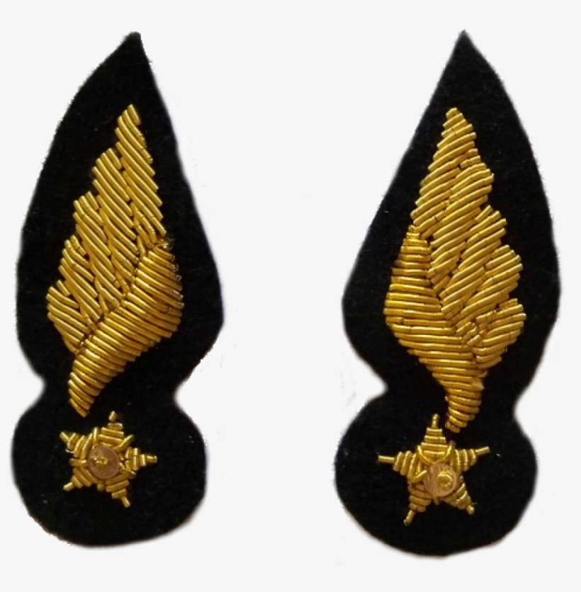 Wwi French Pilot Officer Collar Insignia - Earrings, transparent png download