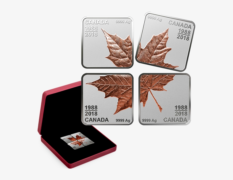 Pure Silver Rose Gold-plated Maple Leaf Quartet - Silver, transparent png download