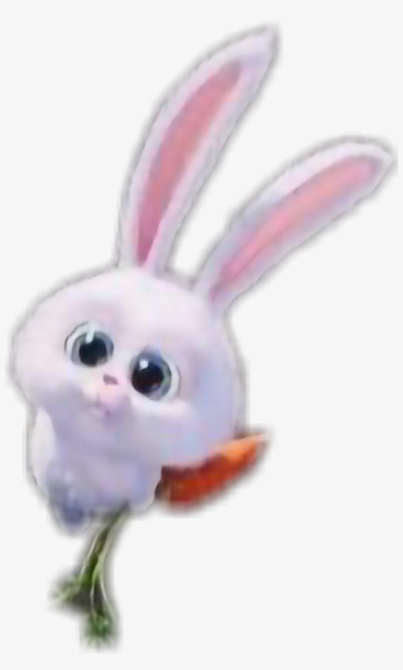#conejito 😘💖😀#rabbit #lindo #zanahoria 😝😄 - Domestic Rabbit, transparent png download