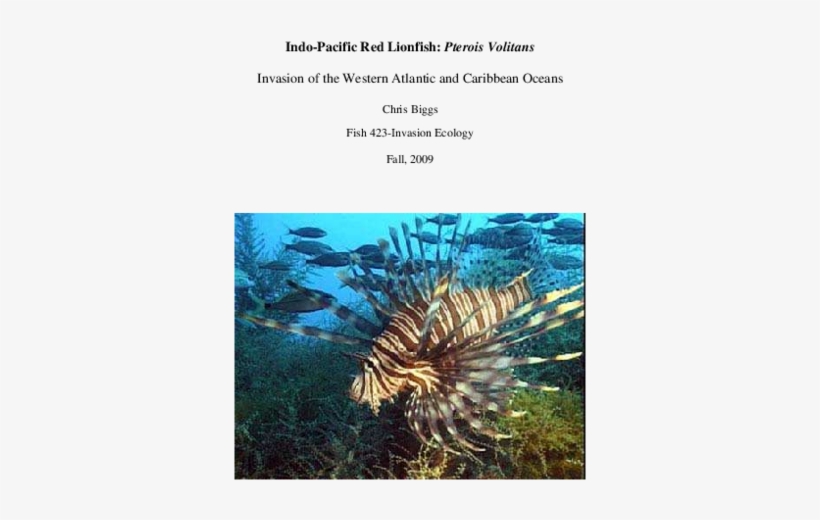 Pdf - Lion Fish Gif, transparent png download