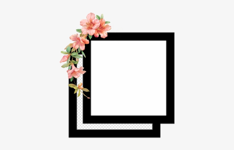 113 Images About Png - Wallpaper, transparent png download