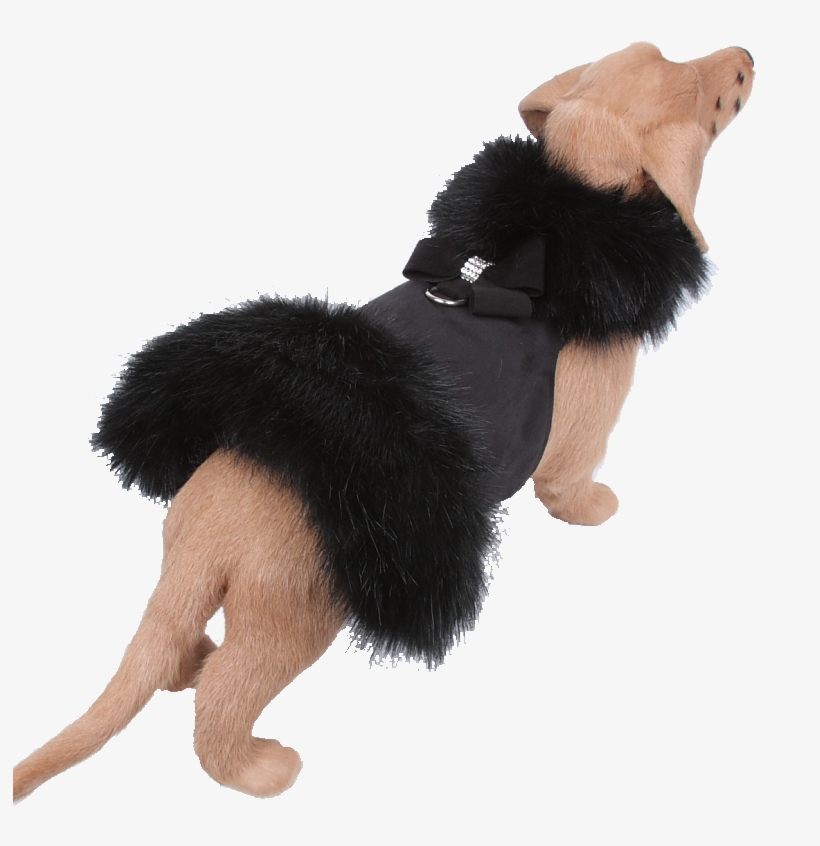 Black Fox Fur Coat With Nouveau Bow - Fur, transparent png download