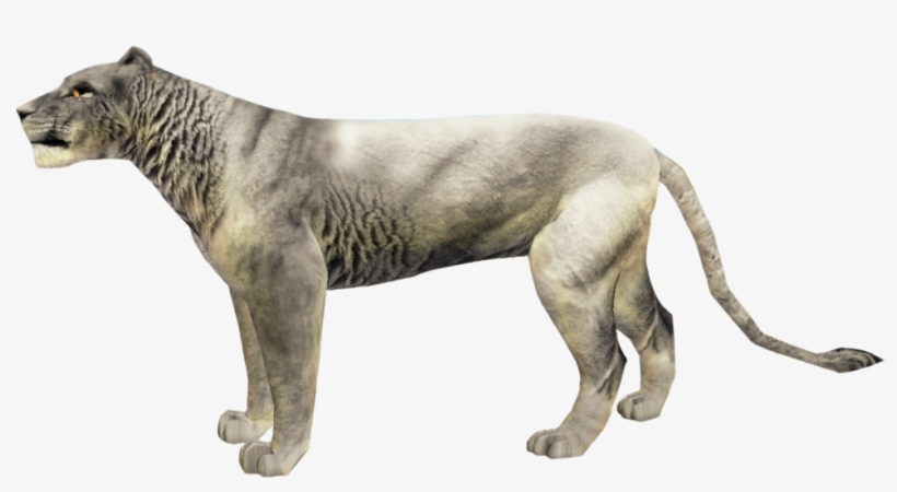 Toxic Red Wolf's Fur Textures - Lion, transparent png download