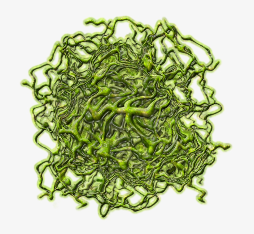 Vineslimecreature Dbl-a - Chain, transparent png download