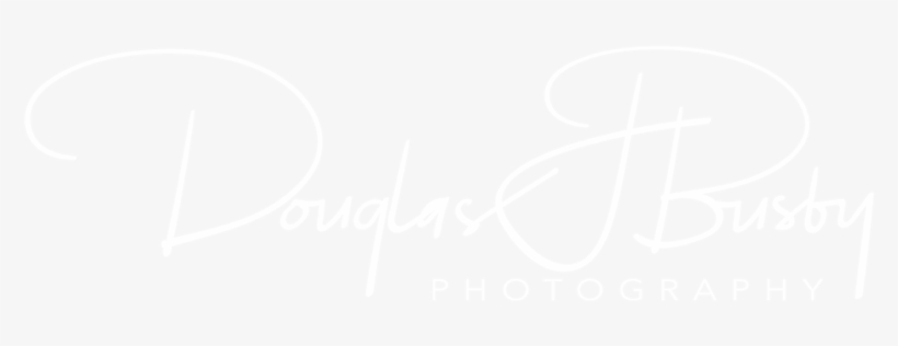 Douglas J Busby White Lowres - Hyatt White Logo Png, transparent png download