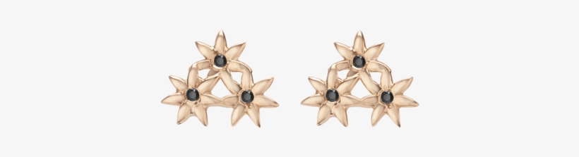 Earrings, transparent png download