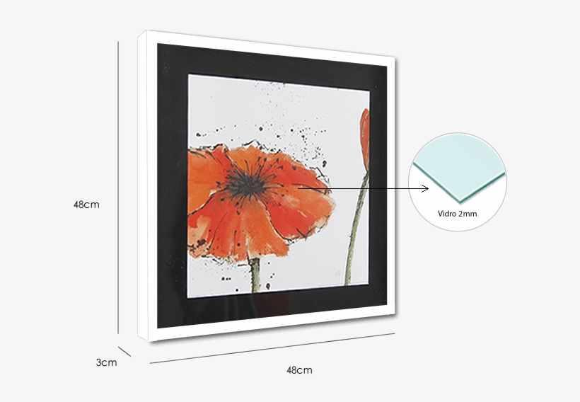 Par De Quadros Flores Papoula Vermelha, 48x48cm C/ - Gerbera, transparent png download