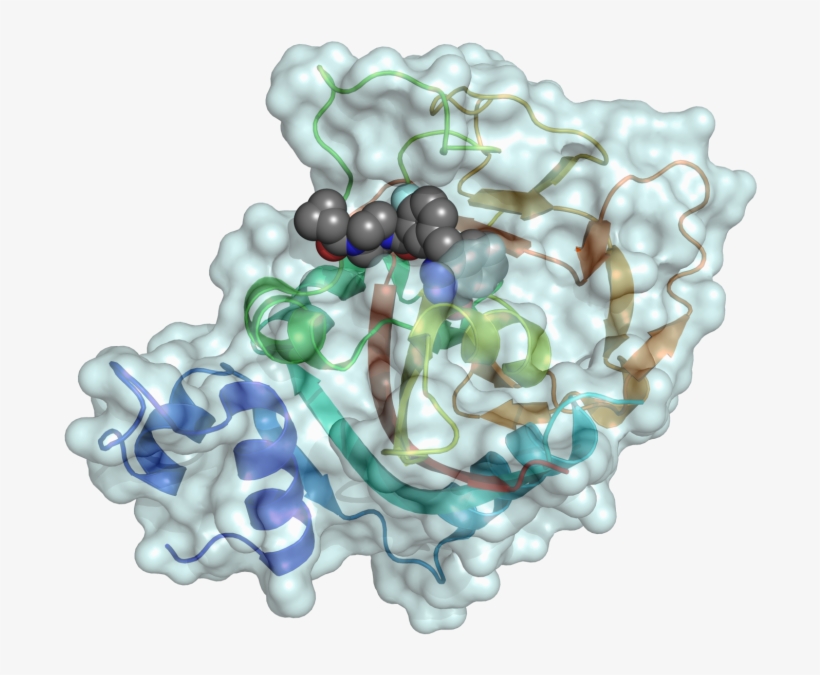 Nad And The Link Between Glucose And Obesity - Illustration, transparent png download