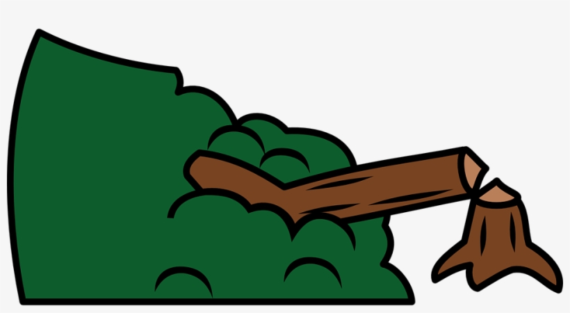 Decision Tree, transparent png download