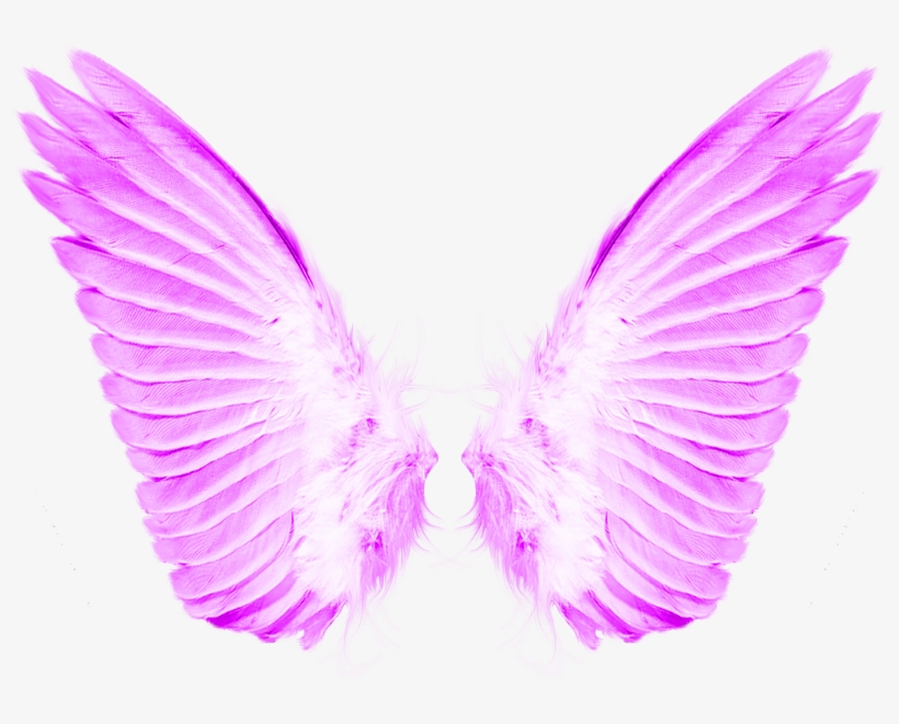 Load 40 More Imagesgrid View - Transparent Background Angel Wings Png, transparent png download