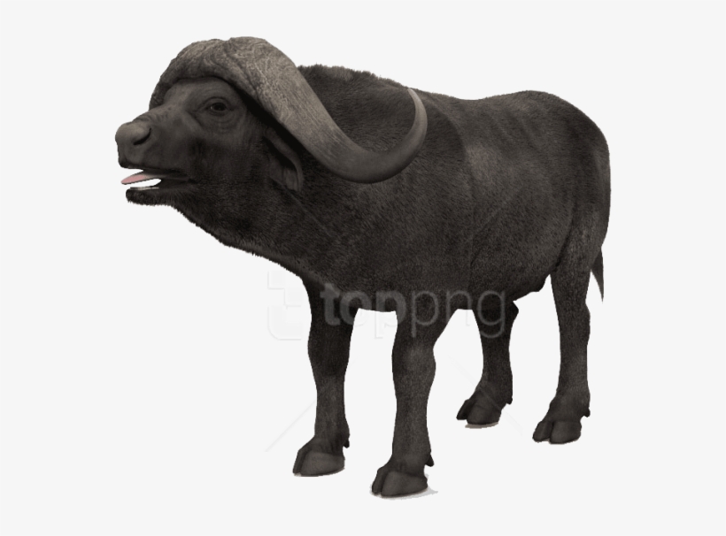 Download African Buffalo S Png Images Background - Bronze Sculpture, transparent png download