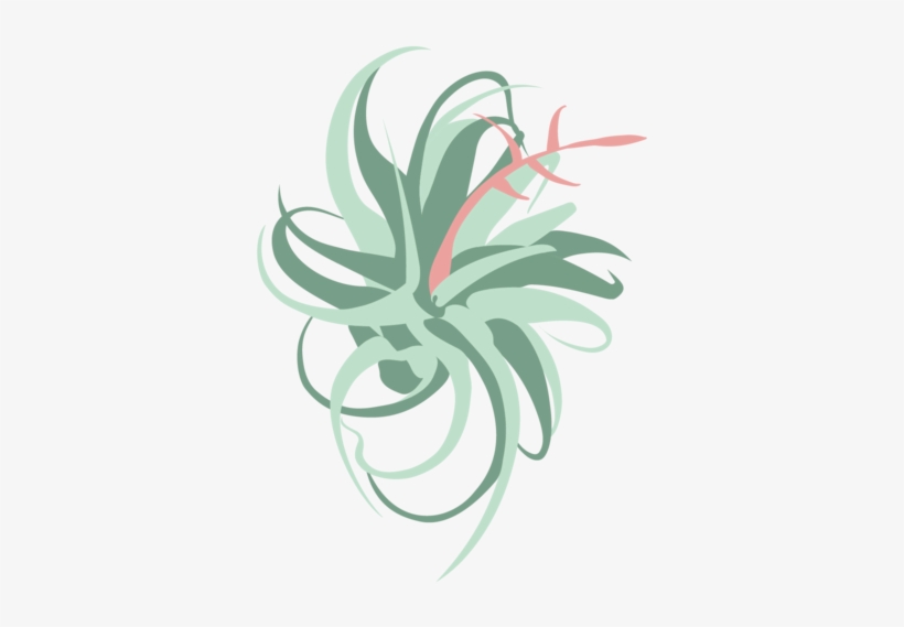 Air Plant City Logo Images-13 - Illustration, transparent png download