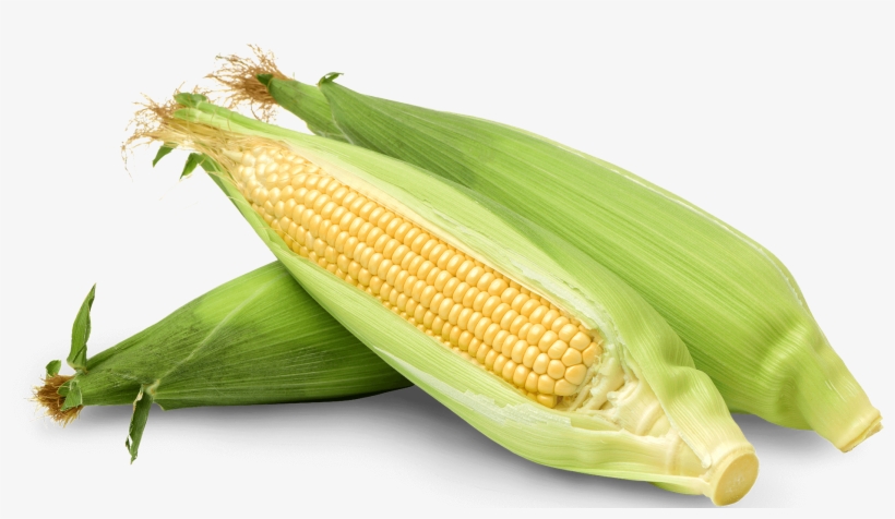 Corn Corn - Corn Kernels, transparent png download