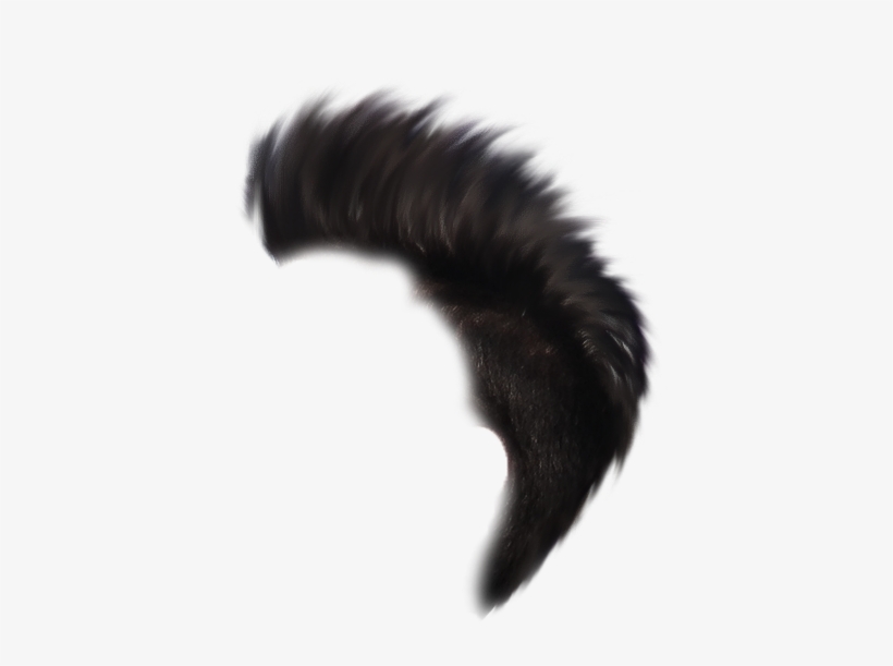 Heartless Hair Png Heartless Editing Png - Millipedes, transparent png download