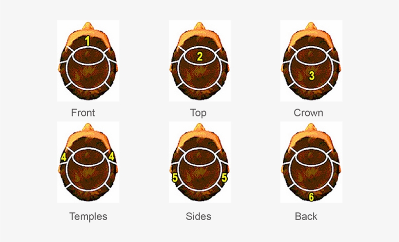 Hair Cut In Size - Circle, transparent png download