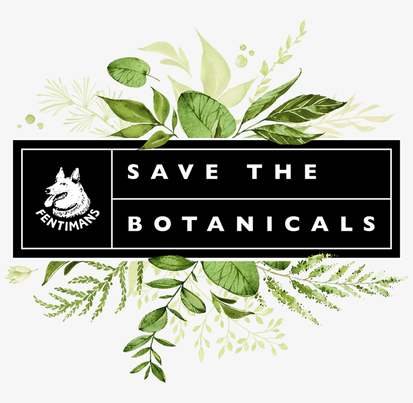 Fentimans Save The Botanicals - Wedding Invitations, transparent png download