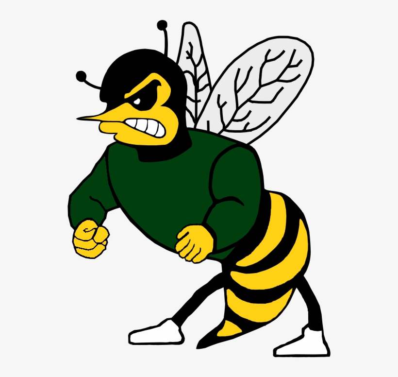 Leavitt Hornets Logo 2 By Chris - Leavitt Area High School Mascot, transparent png download
