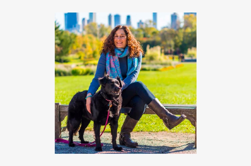 Article By Chicago Real Producers - Companion Dog, transparent png download
