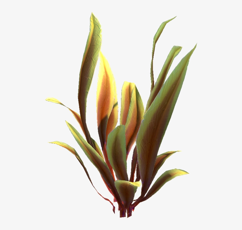 Spotted Reeds Relative - Crinum, transparent png download