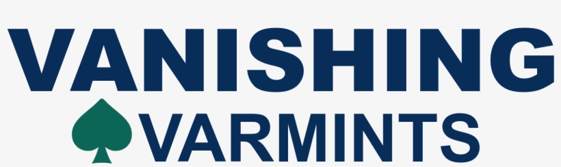 Graphic Design, transparent png download