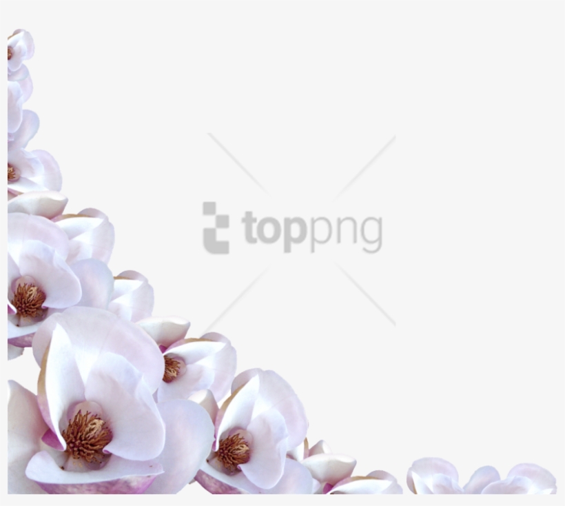 Free Png Transparent Flowers Border Png Image With - White Flowers Border Transparent, transparent png download
