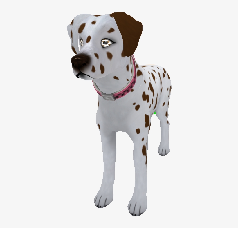 Liverwhite Dalmatian - Dalmatian, transparent png download
