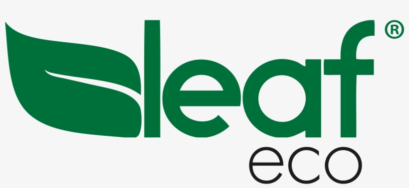 Fashion Store - Leaf Oculos, transparent png download