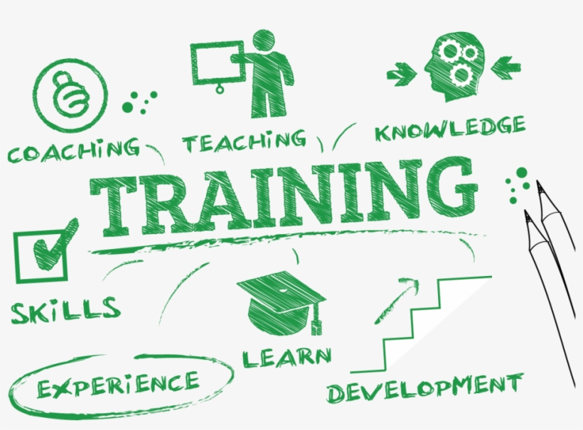 Train The Trainer Model, transparent png download