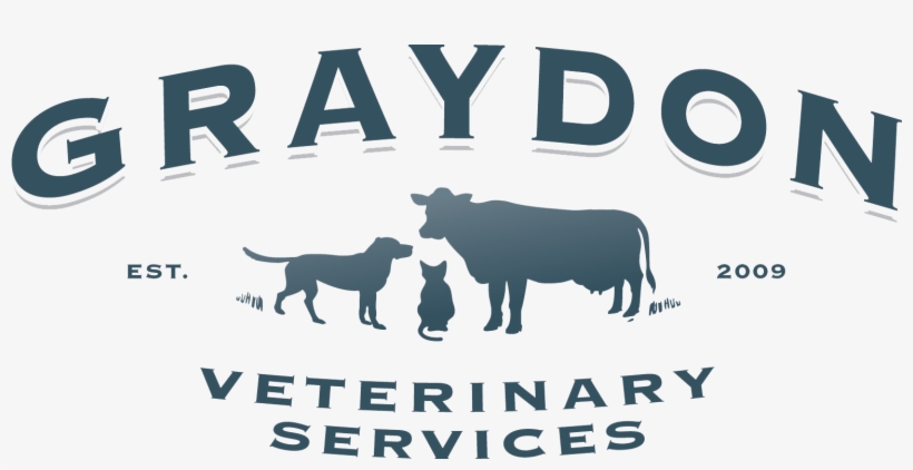 Graydon Veterinary Services - Cattle, transparent png download