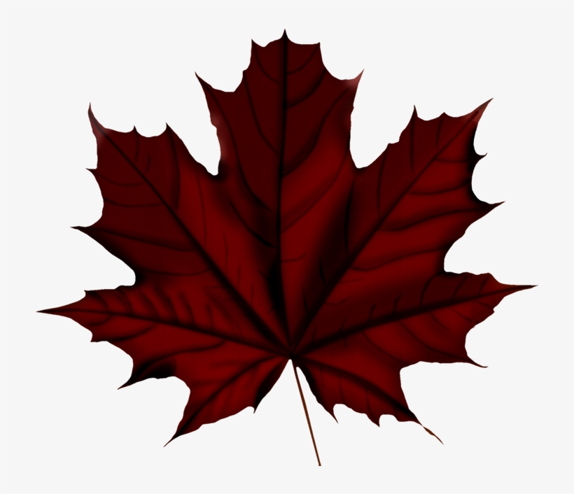 Faℓℓ ‿✿⁀○ Vintage Flowers, Autumn Leaves, Falling - Canada Day 150 Anniversary, transparent png download