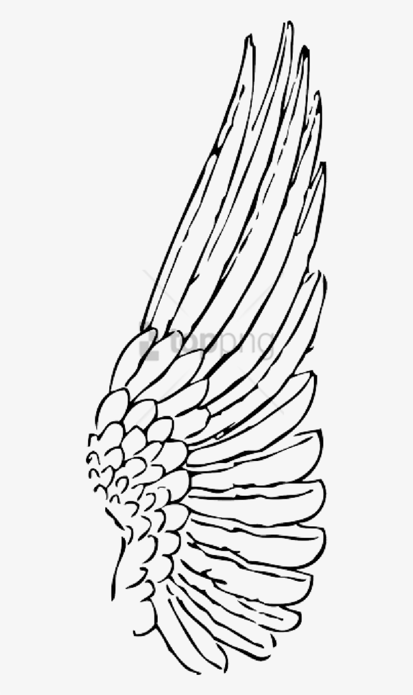 Free Png Wing Png Image With Transparent Background - One Wing Clipart, transparent png download