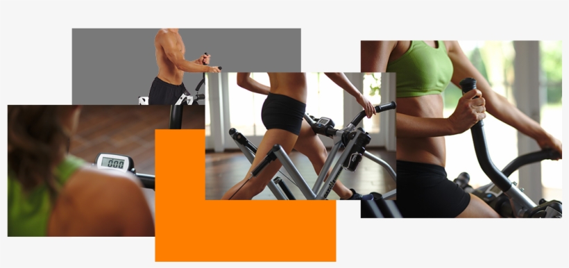 Muscle Building - Pilates, transparent png download