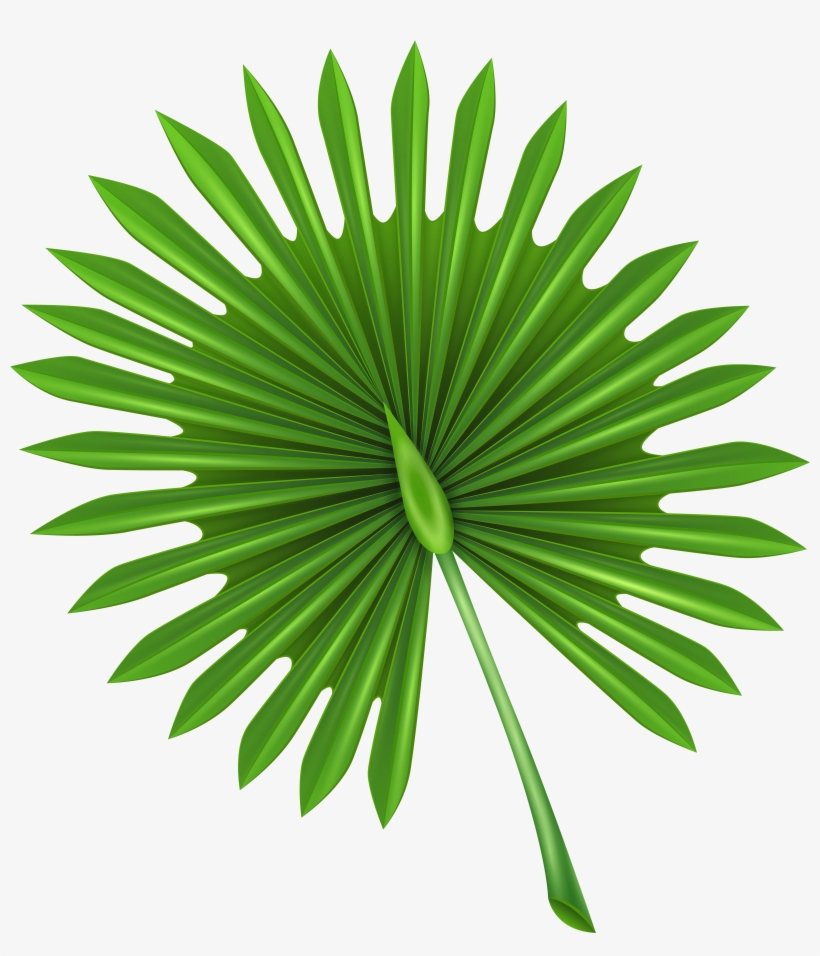 Exotic Leaf Clip Art Png Image - Mold Temperature Injection Molding, transparent png download