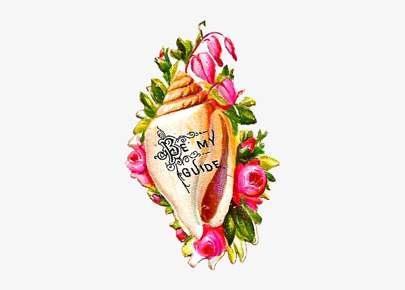 Bemyguideshellpng - Illustration, transparent png download