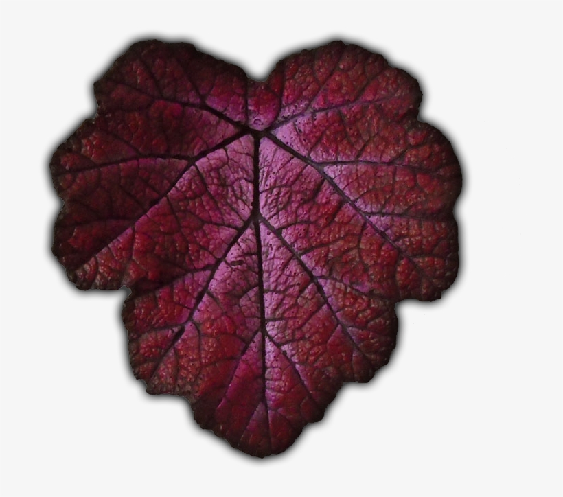 Be Sure To Check Out The Ebay And Etsy Links To See - Close-up, transparent png download
