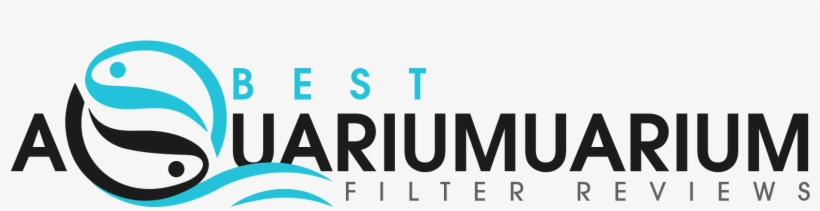 Best Aquariium Filter Reviews - Graphic Design, transparent png download