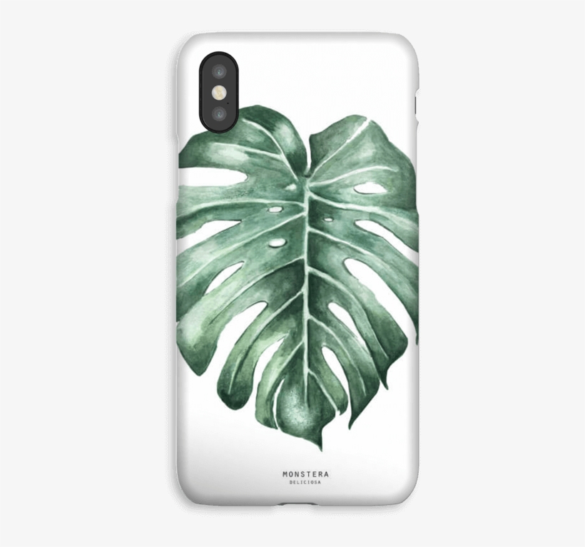 Monstera Deliciosa Case Iphone Xs - Monstera Watercolour, transparent png download