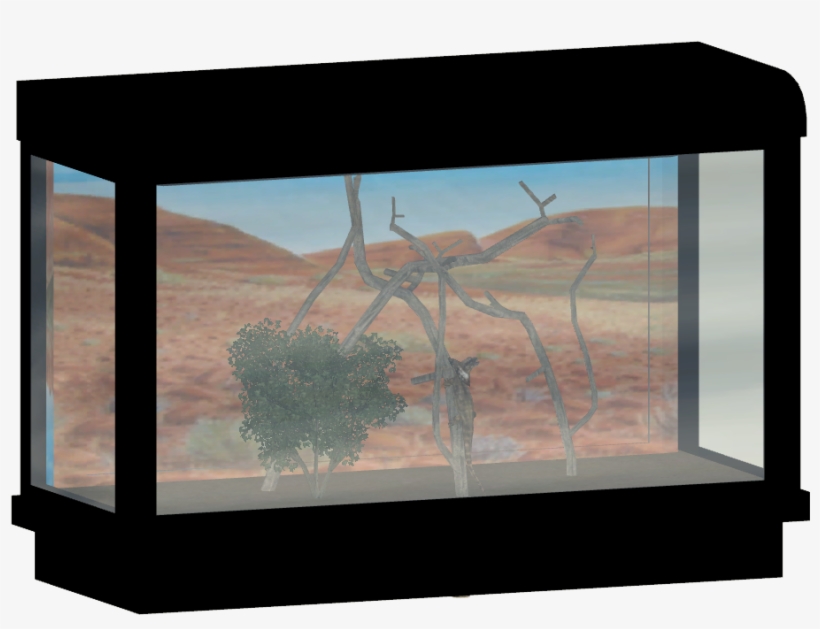 Frilled Lizard Tank - Aquarium, transparent png download