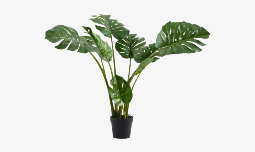 Flowerpot, transparent png download