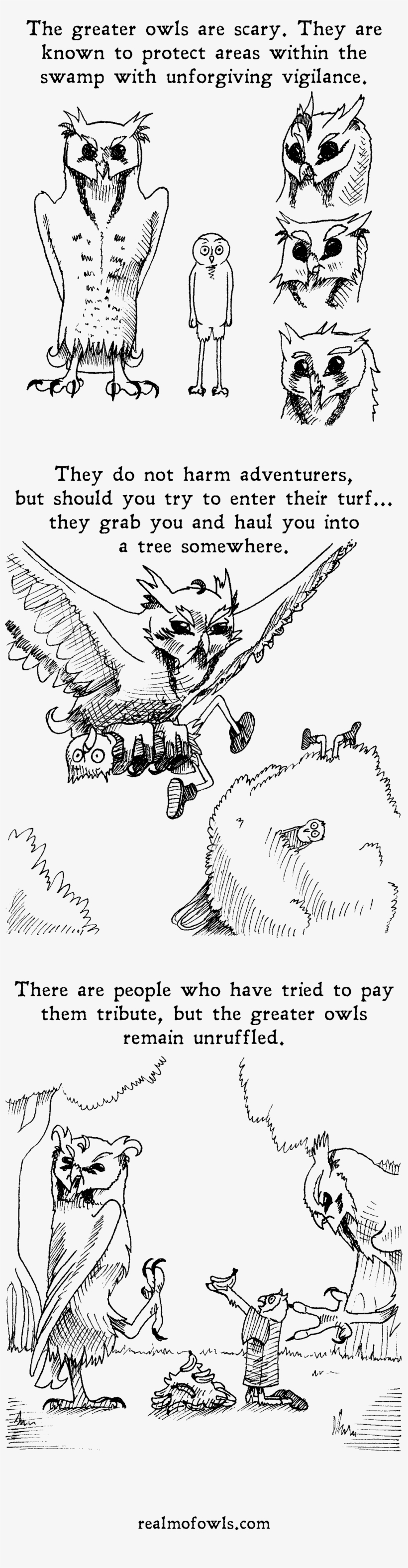 Greater Owls Woah, They're Kind Of Huge - Cartoon, transparent png download