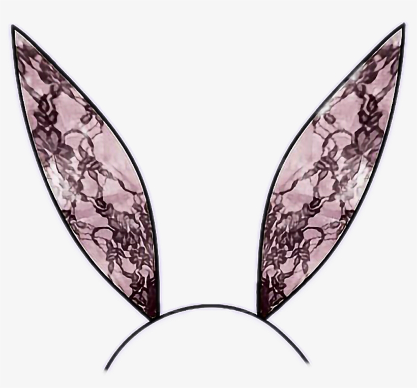 #bunny #bunnyears #black #pink #lace #blacklace #headband, transparent png download