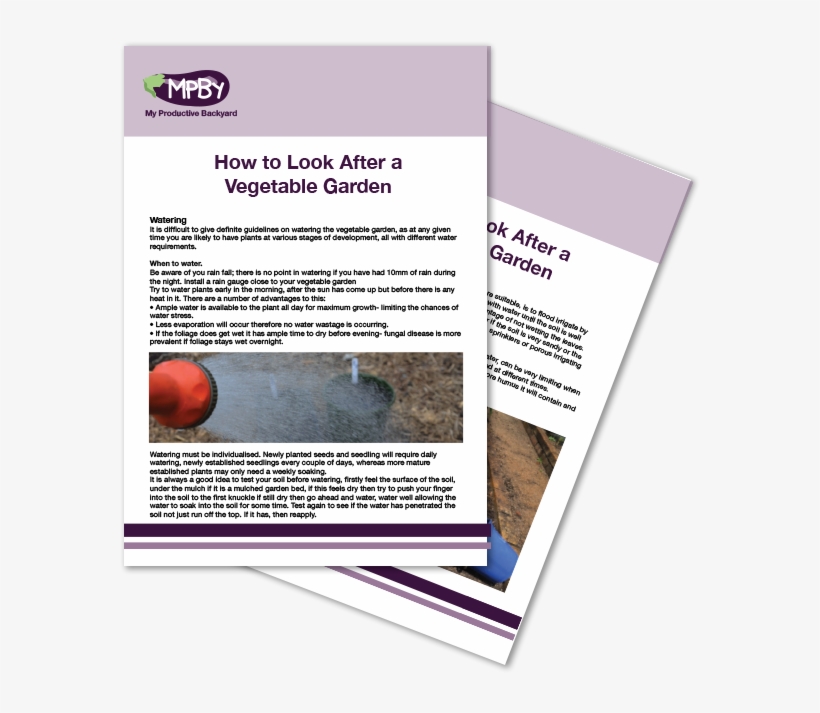 The Annual Vegetable Garden - Brochure, transparent png download