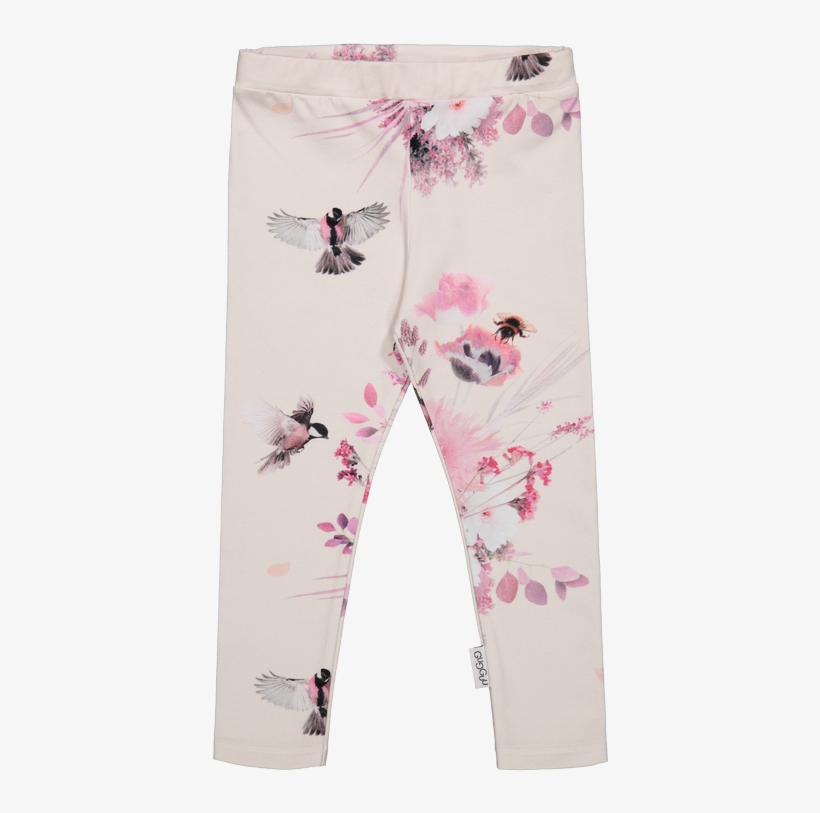 Stvacpt5 - Leggings, transparent png download