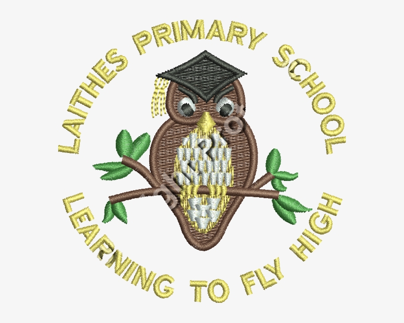 Front - Owl, transparent png download