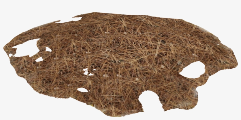 Needles Pile 1 - Chocolate Cake, transparent png download