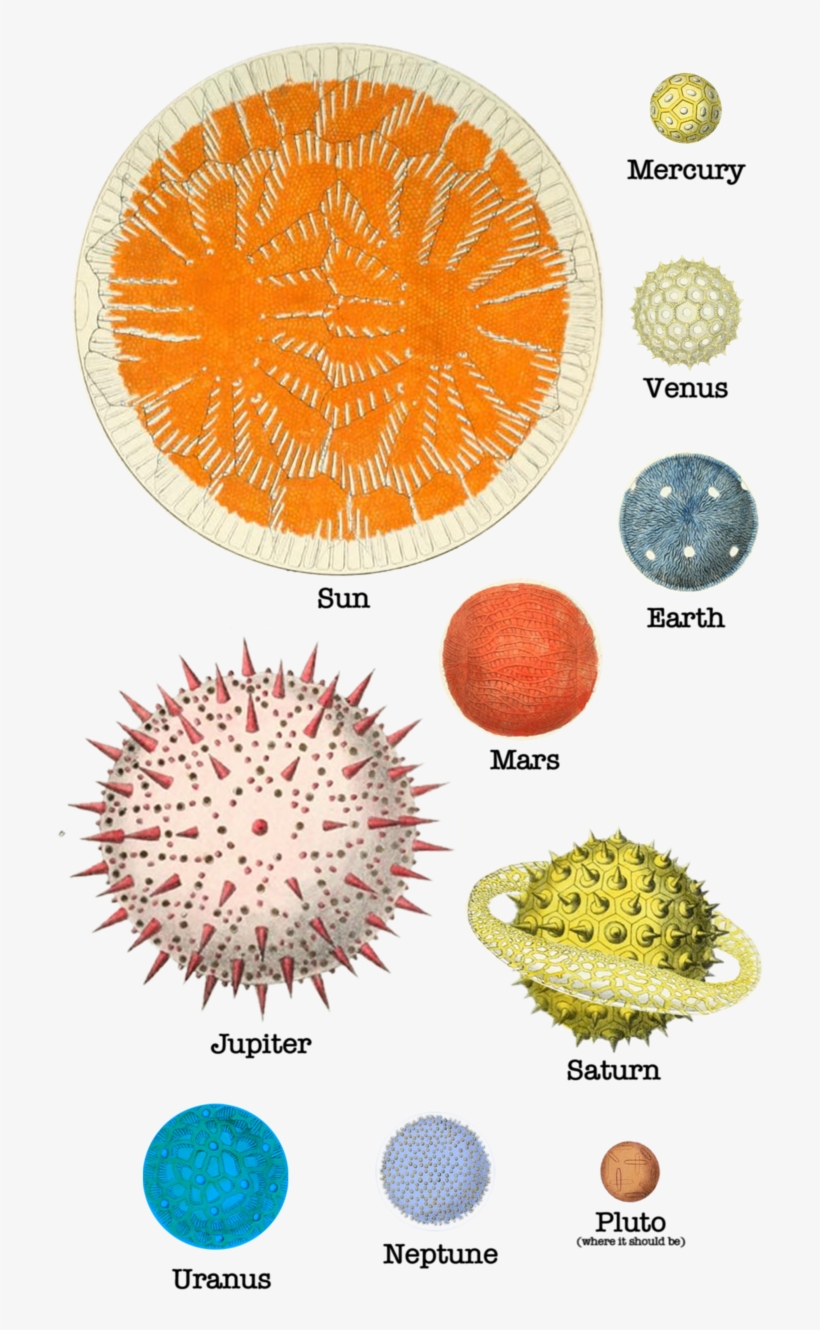 Pollen Planets Solar System - Circle, transparent png download